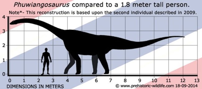 dino sao 03