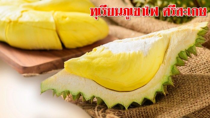 durian sisaket 1