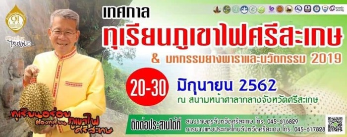 durian sisaket 2562