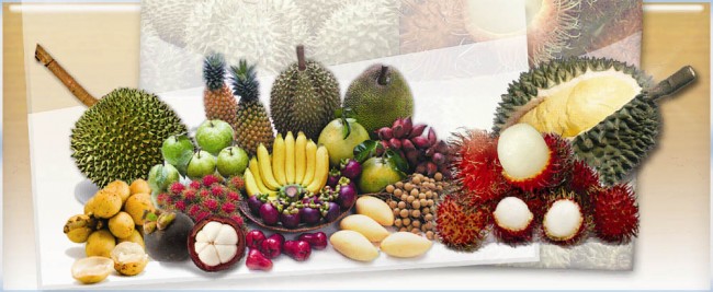 fruits isan
