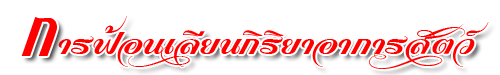 fon like animals header