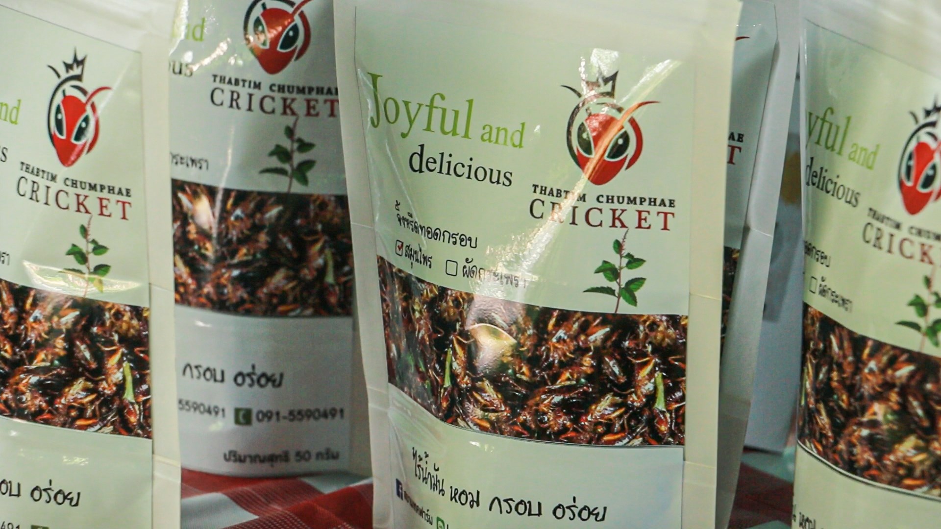 Insect protien 03