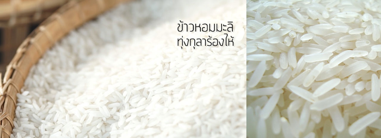 jasmine rice 03