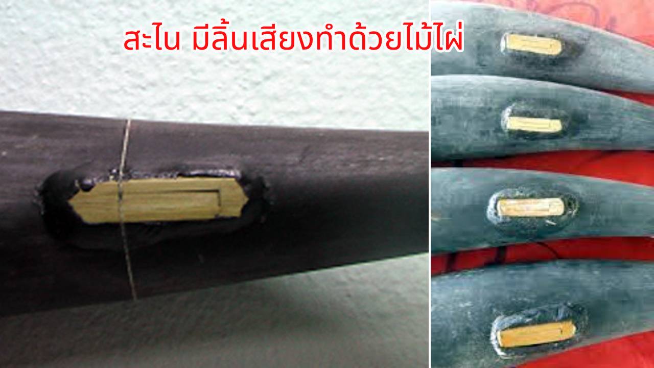 sa nai 4