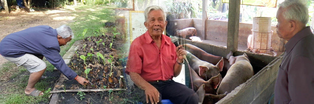 pai sroysaklang 06