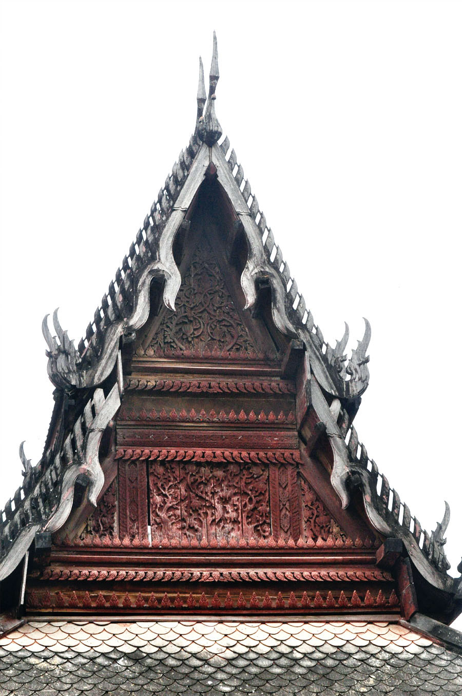 hor trai 06