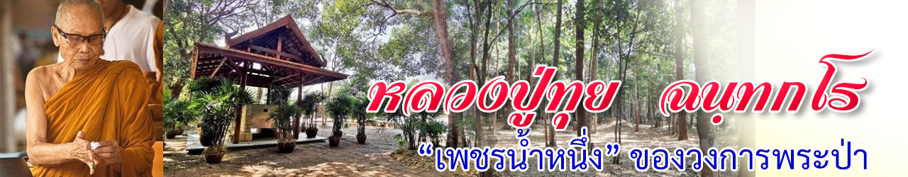 LP Tui Chantakaro header