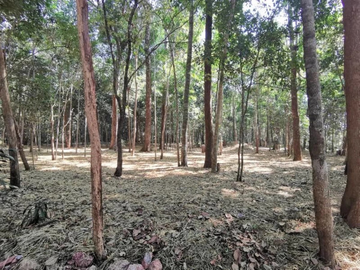 lp tui chantakaro 04