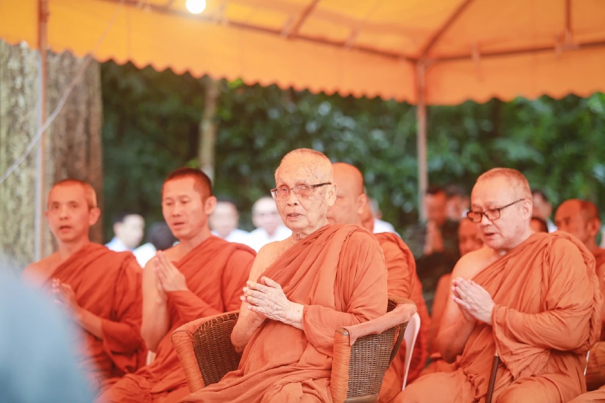 lp tui chantakaro 06