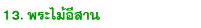 13 pra mai isan