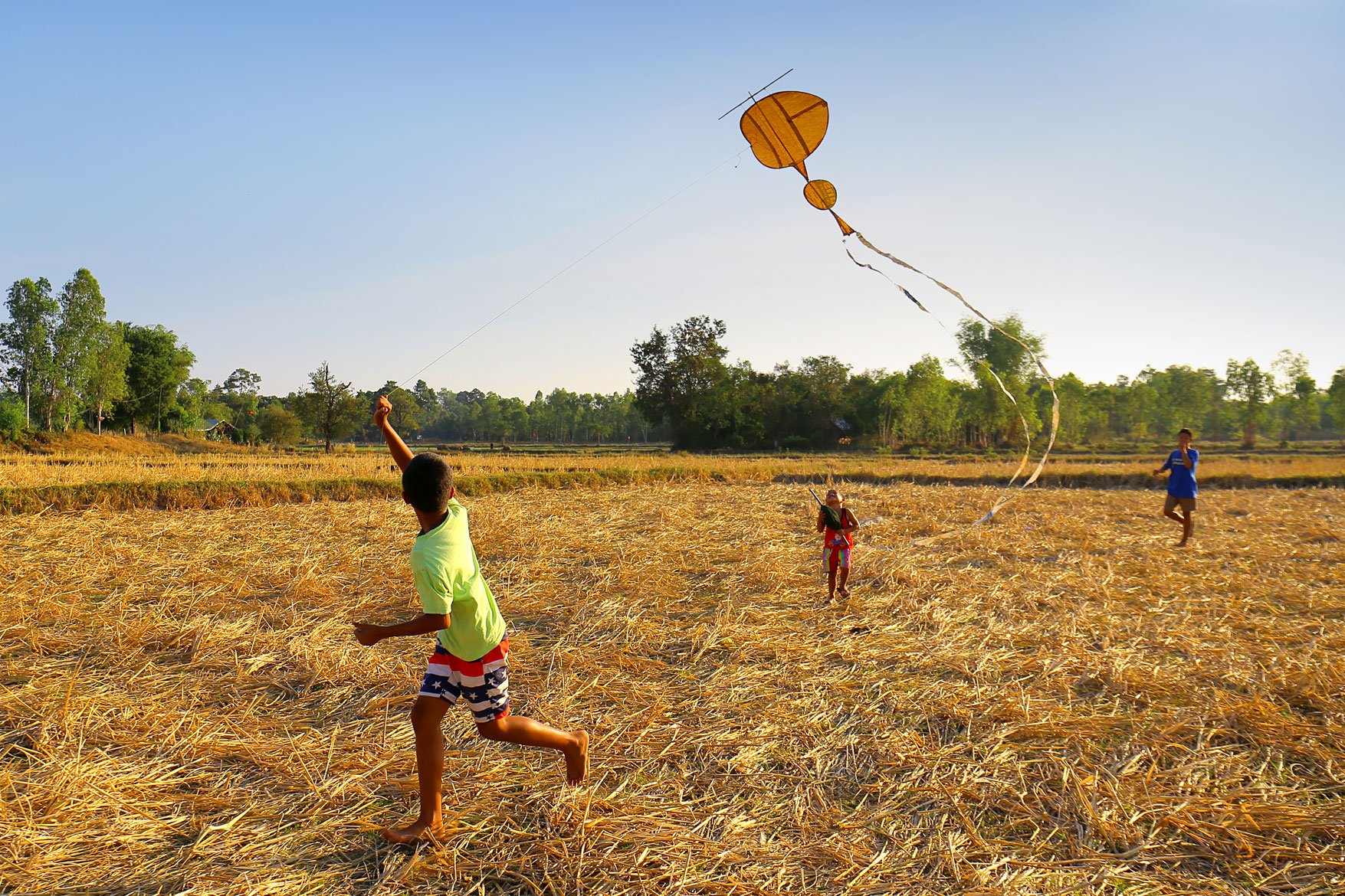 children kite
