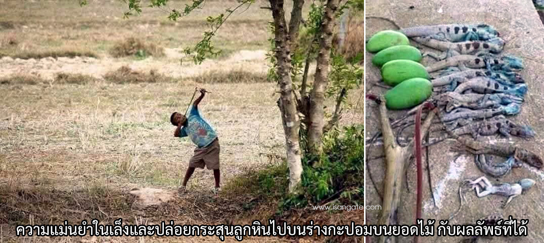 kapom hunter 2