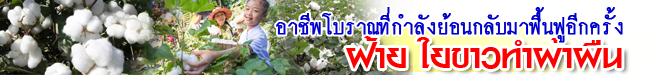 fai cotton