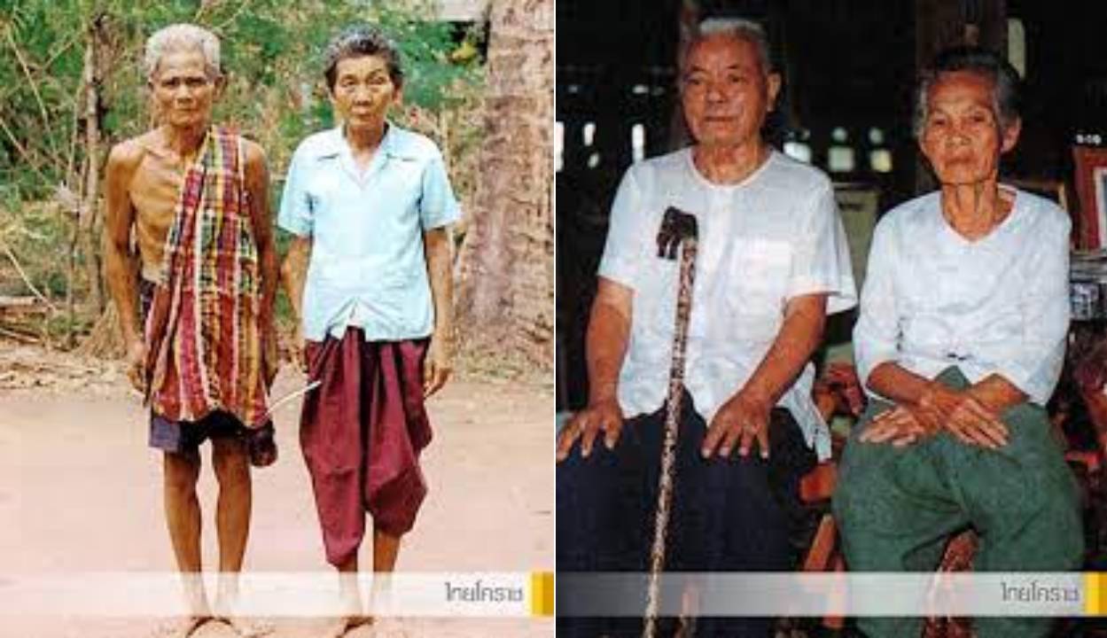 thai berng 06
