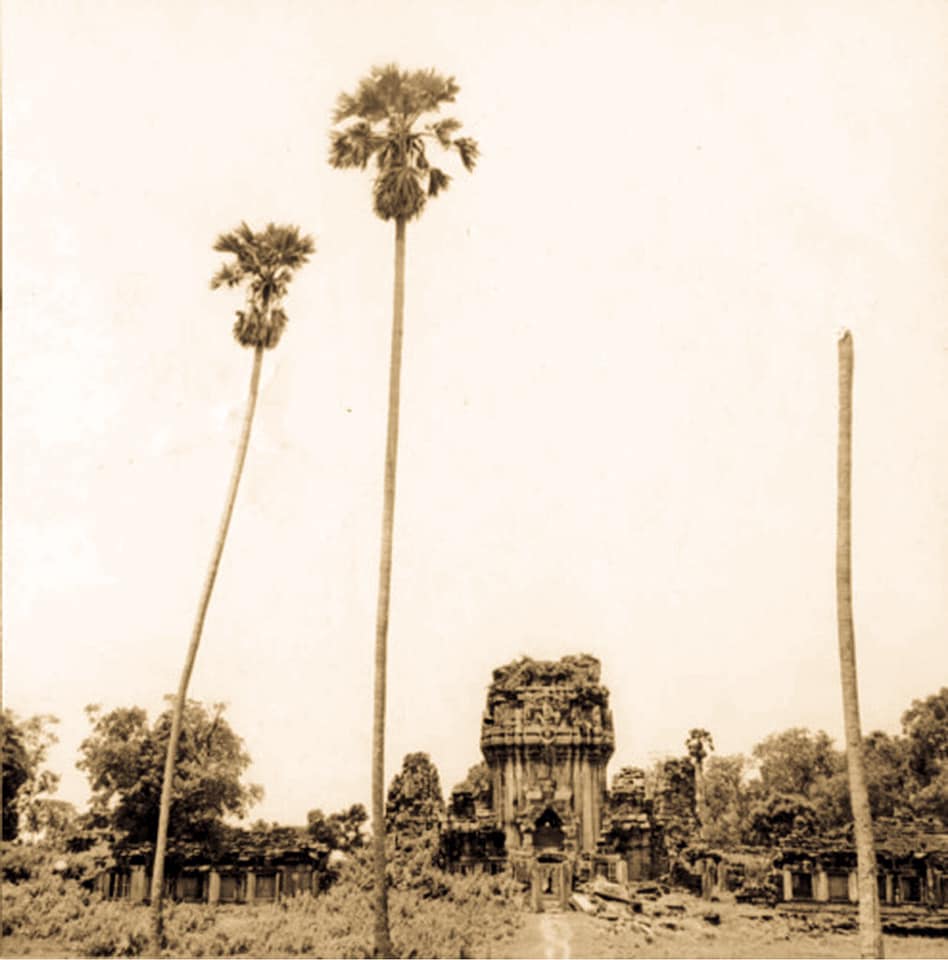 korat BE2496 07