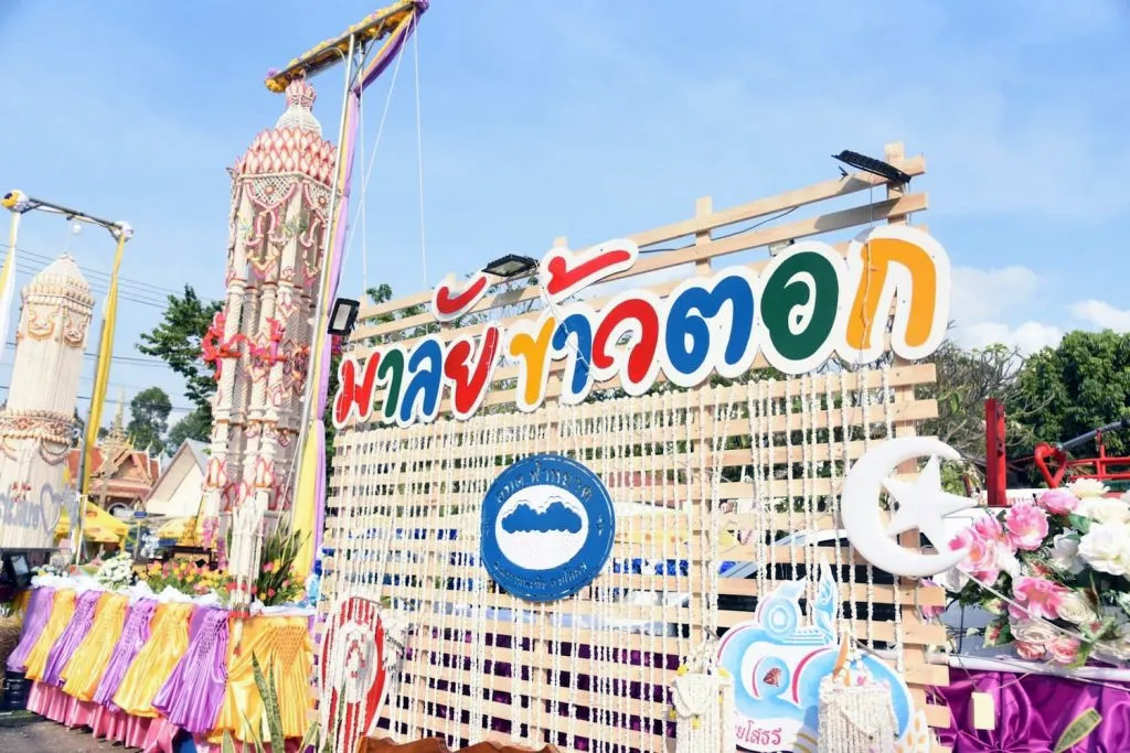 malai kaotok 2