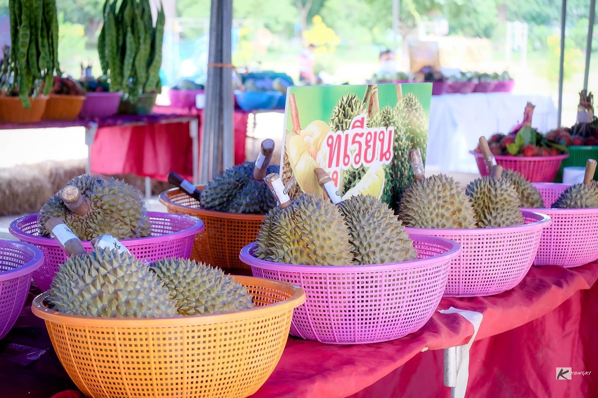durian namyuen 3