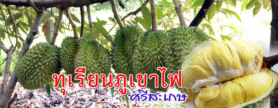 dhurian sisaket