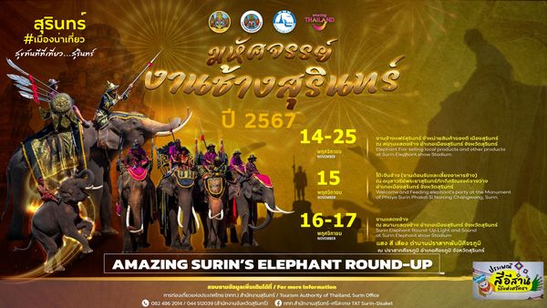 elephant surin 2024