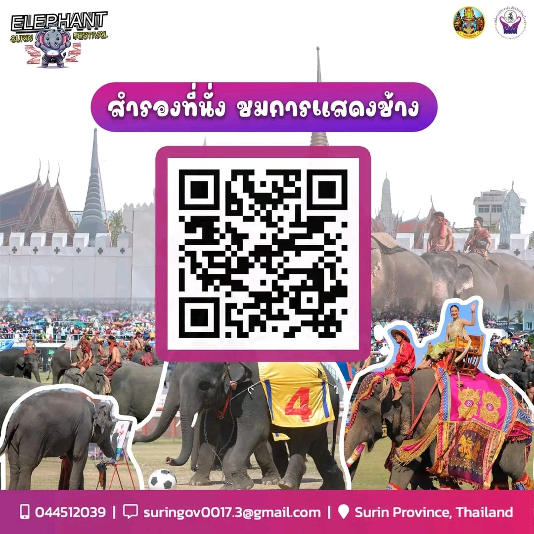 elephant surin 2024 QR