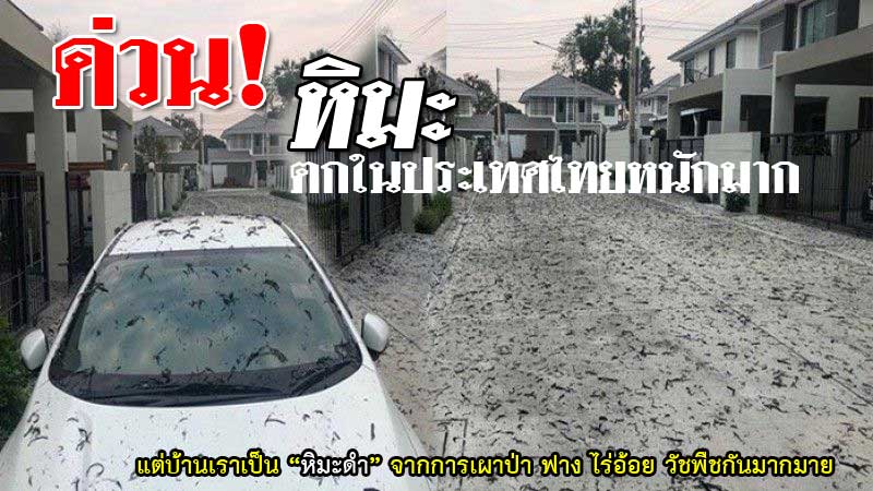 black snow thailand