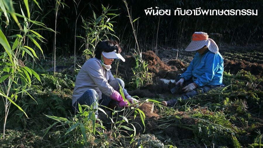 pee noi 03