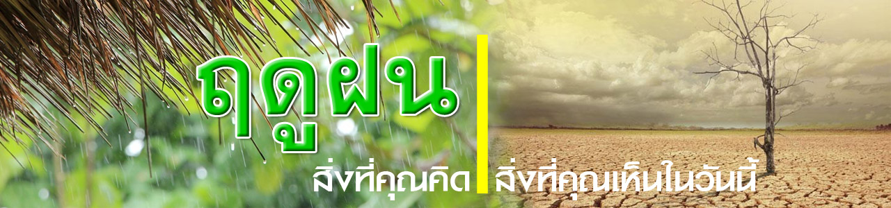 rainny season 2562
