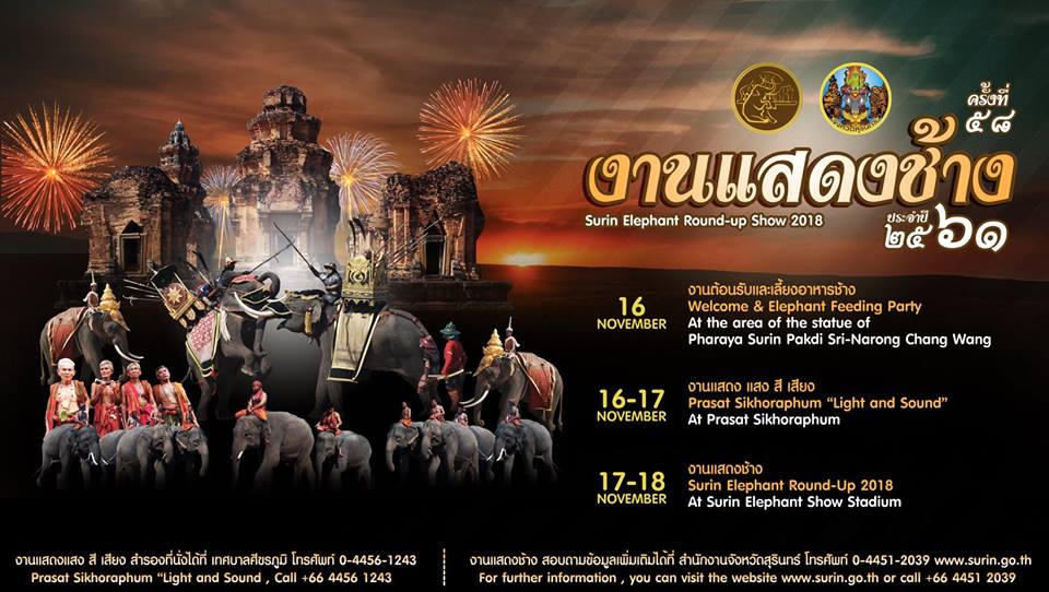 elephants surin 2018