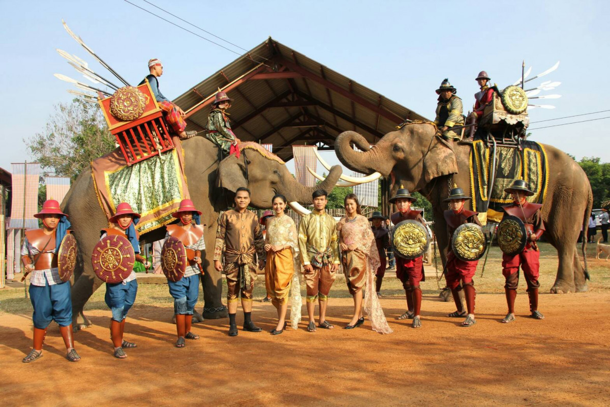 elephants surin 2021