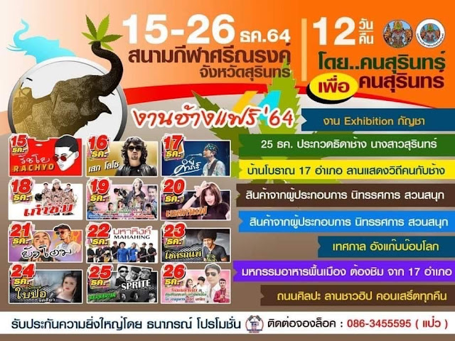 elephants surin 2021 2