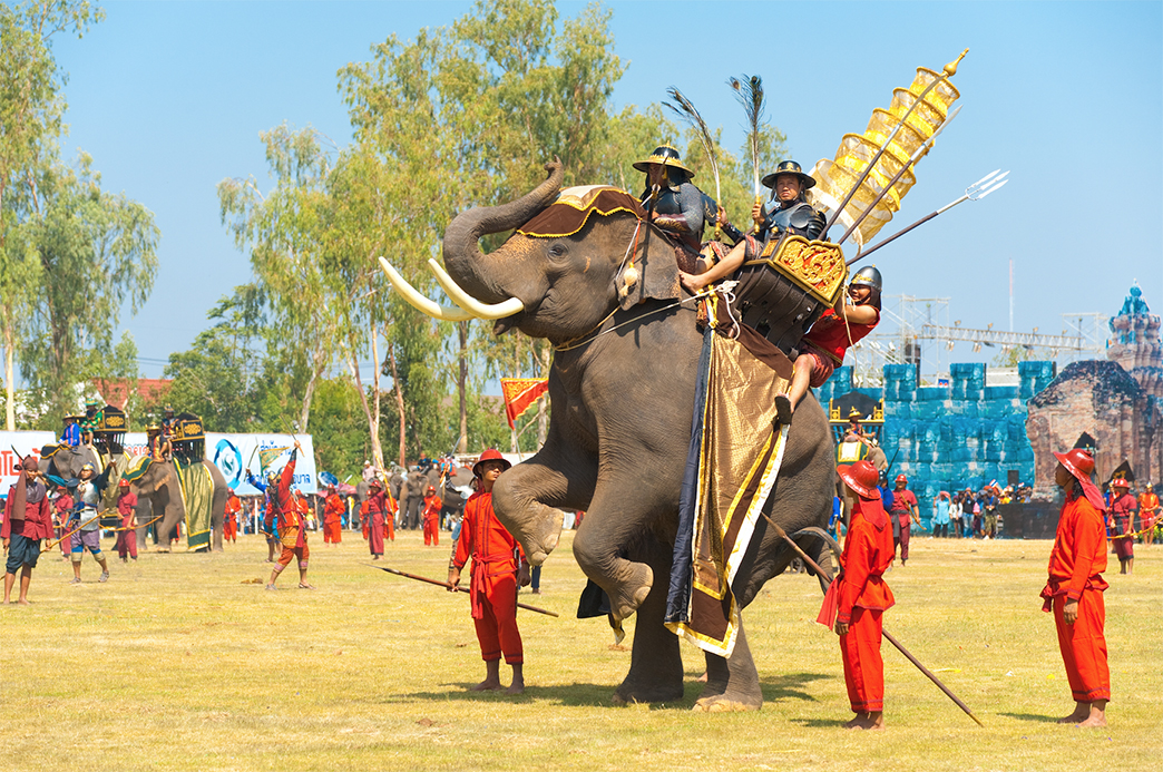 surin elephant round up2019 02