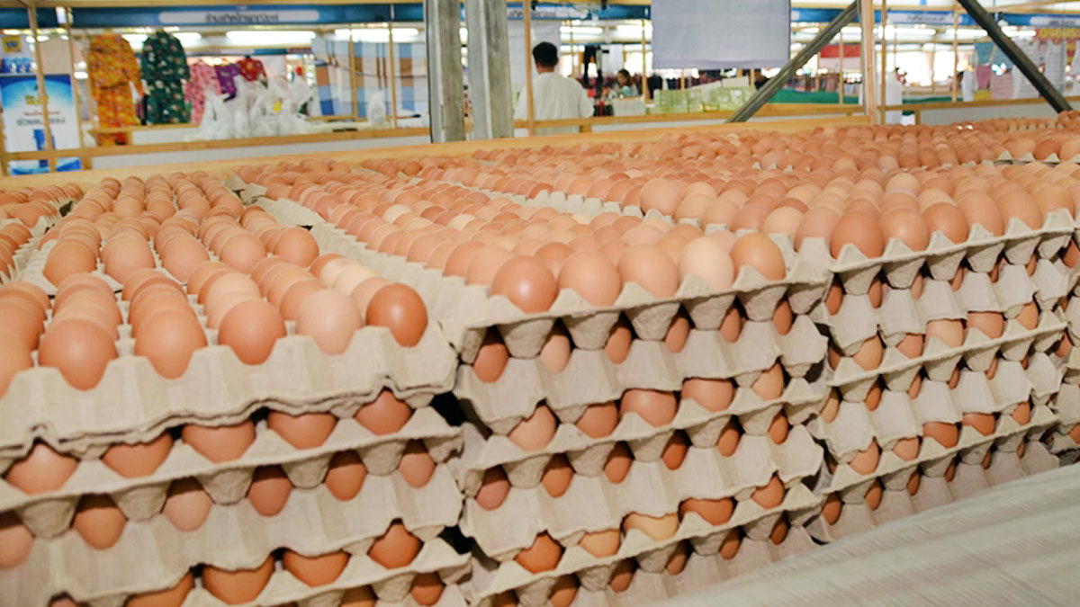 eggs