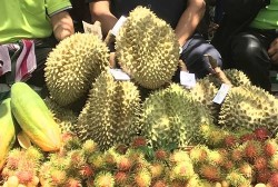 kongdee sisaket 02
